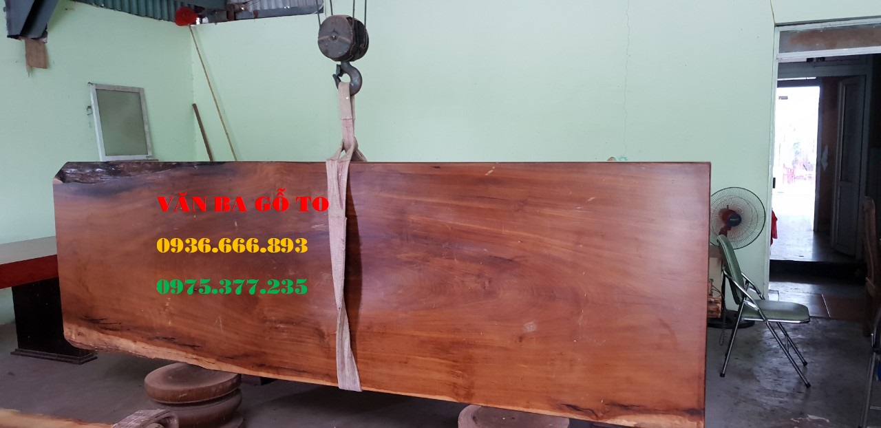 mặt bàn gỗ dổi